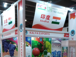 kalya export