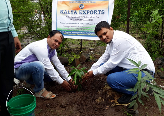 kalya export